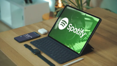 Spotify Playlists: The Catalyst for Music Discovery