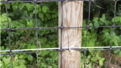 How Durable Is Plastic Deer Fence in Snow, Sun & Wind? Real Talk on Performance