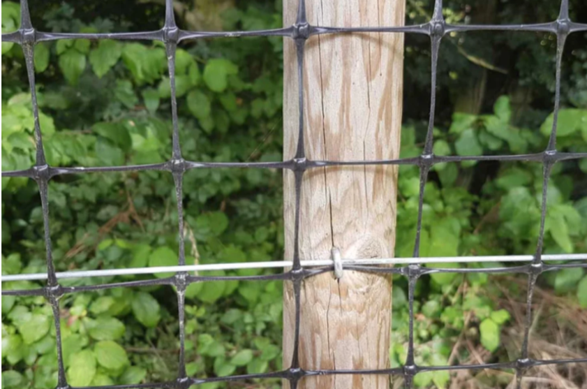 How Durable Is Plastic Deer Fence in Snow, Sun & Wind? Real Talk on Performance