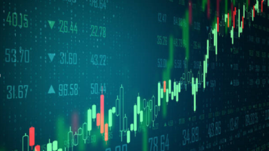 Avoid These Stockity Trading Mistakes if You’re Just Starting Out