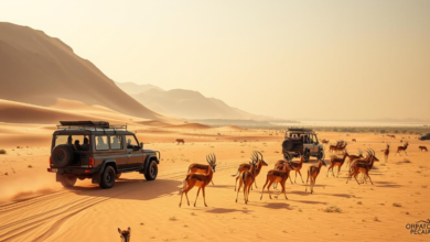 Last-Minute Dubai Trips: Great Safaris Still Possible with an Agency