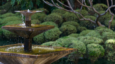 Is Your Fountain Ready for Spring? Essential Water Fountain Maintenance and Cleaning Tips
