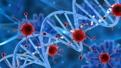 What Role Does Interleukin 2 Play In Immunotherapy? 