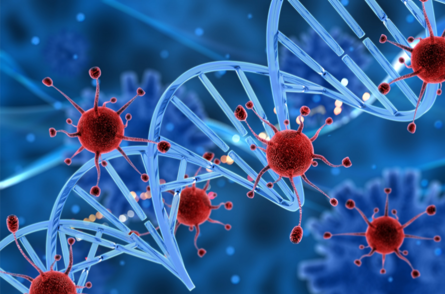 What Role Does Interleukin 2 Play In Immunotherapy?