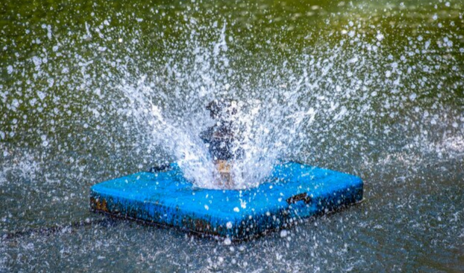 How to Choose the Best Floating Pond Fountains for Your Backyard Oasis