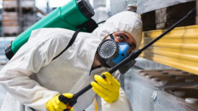 Home Pest Control Services Delta Expert Solutions for Effective Infestation Management