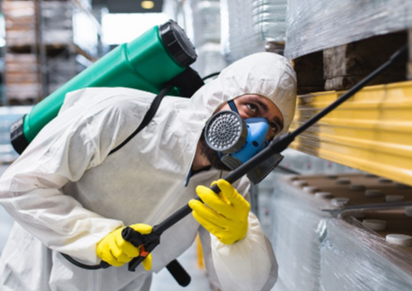 Home Pest Control Services Delta Expert Solutions for Effective Infestation Management