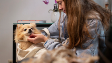 Everyday Ease with At Home Nail Groomers