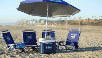 Set the Scene, Skip the Setup: Rediscovering San Diego’s Beach Day Ease