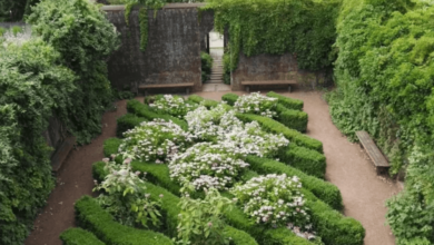 The Secret to Garden Charm? It’s in the Walls