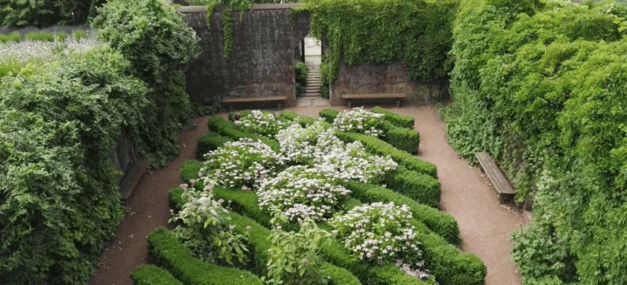 The Secret to Garden Charm? It’s in the Walls