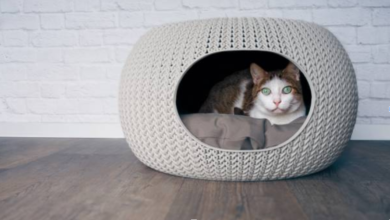Create a Cozy Haven with Nest Pet Beds