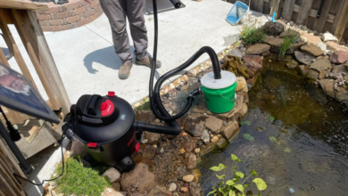 Why a Natural Pond Vacuum Is the Smartest Way to Keep Your Pond Clean