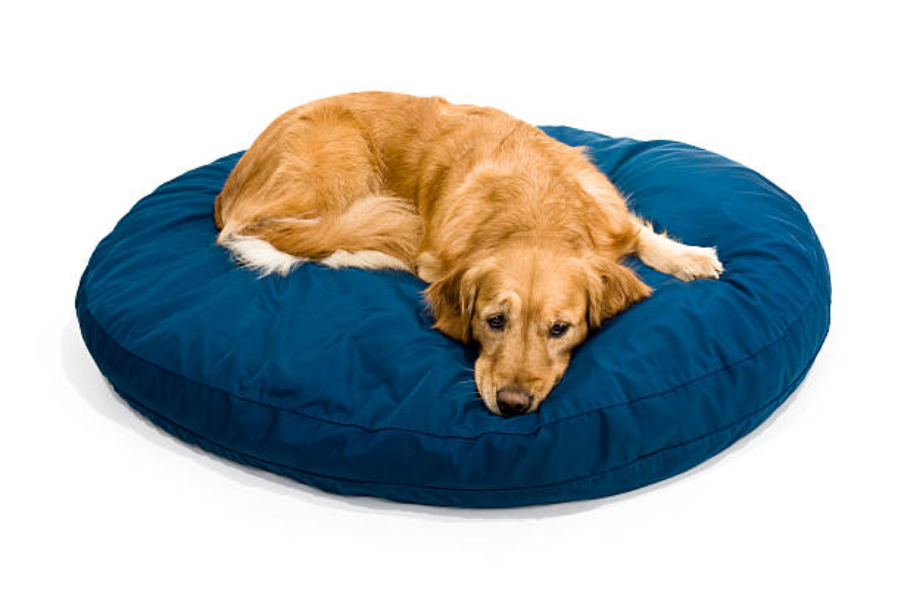 Waterproof Dog Bed Cover: Protect Your Pup’s Bed and Keep It Clean 