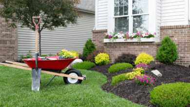 Sodding Ottawa: The Fastest Way to a Beautiful, Healthy Lawn