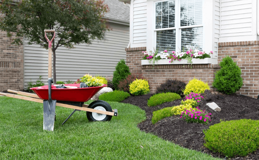 Sodding Ottawa: The Fastest Way to a Beautiful, Healthy Lawn