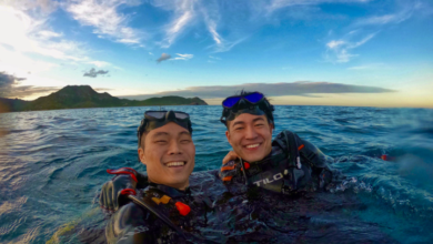 The Peace, Tranquility, and Wonder of Scuba Diving Beneath the Surface