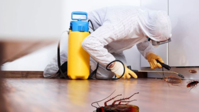 Real Reason Cockroach Pest Control Is the Quiet Hero of Every Home