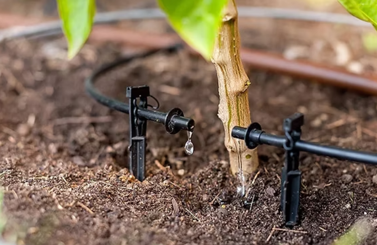 Understanding the Difference Between Drip Systems