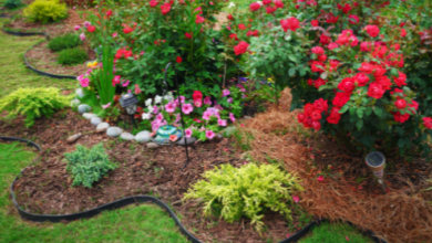 The Difference Between Plastic, Metal, and Concrete Landscape Edging