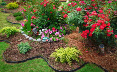 The Difference Between Plastic, Metal, and Concrete Landscape Edging