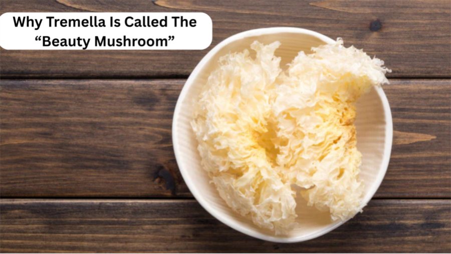 Why Tremella Is Called The “Beauty Mushroom”