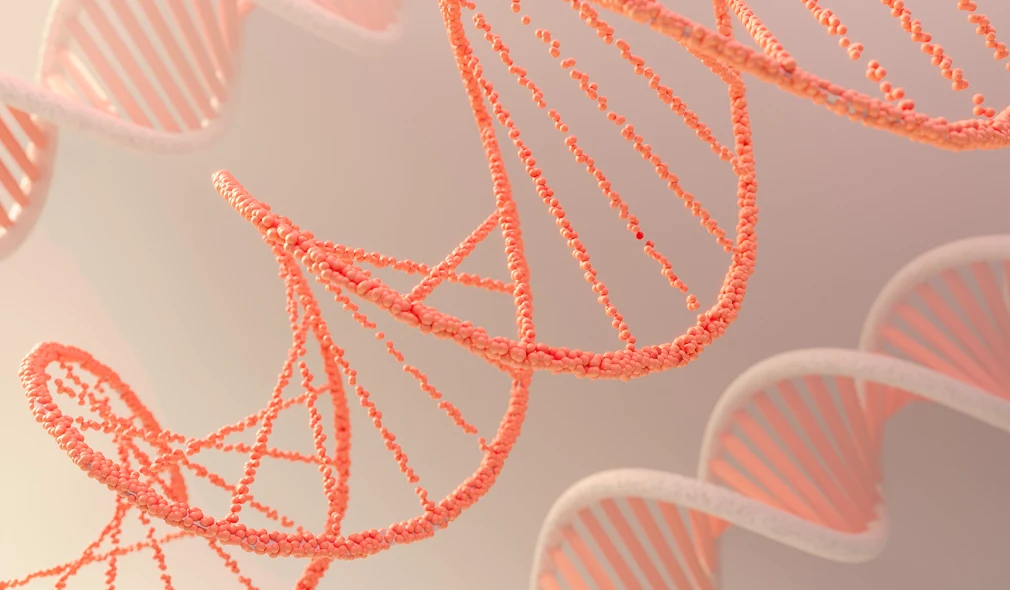 Precision Reads: Advancing Genomic Research with Amplicon Sequencing