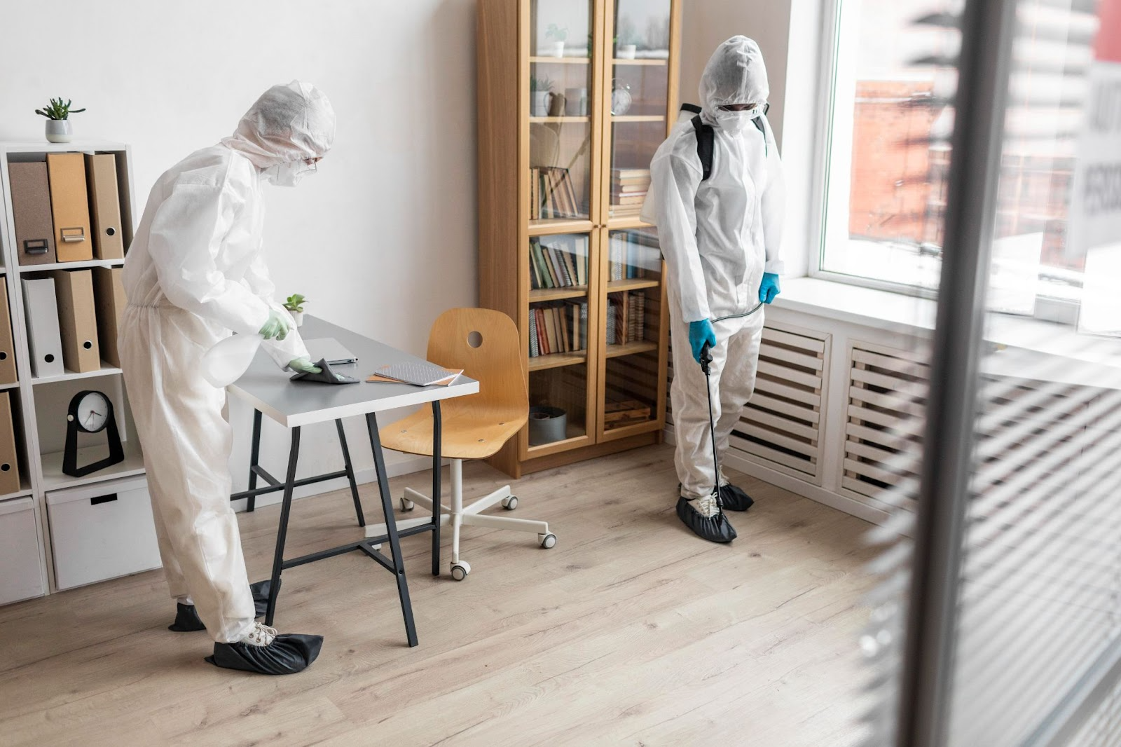 Clear Air, Safe Spaces: Choosing the Right Mold Remediation Service