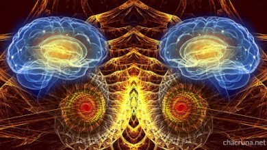 5-MeO-DMT Research Studies