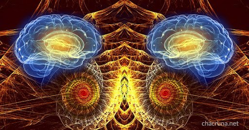 5-MeO-DMT Research Studies