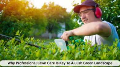 Why Professional Lawn Care Is Key To A Lush Green Landscape 