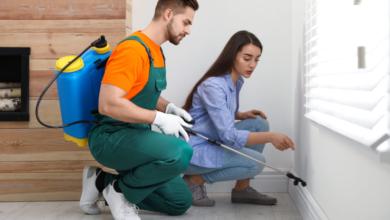 The Impact of Pests on Health and Property—and Why Professional Control Matters