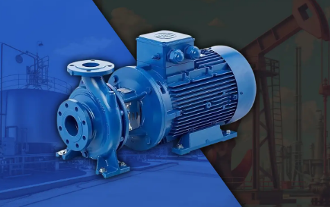 Polymer Transfer Pumps: Boosting Efficiency in Chemical Plants