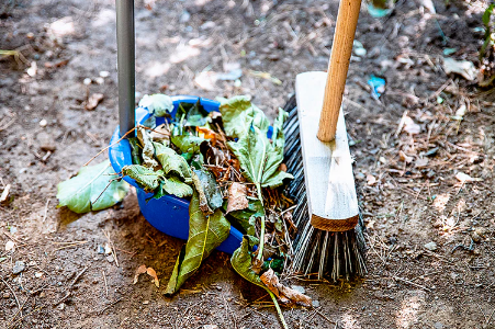 Building a Productive Garden Even in Winter