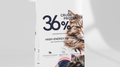 Feeding Your Adult Cat: Tips for a Balanced Diet