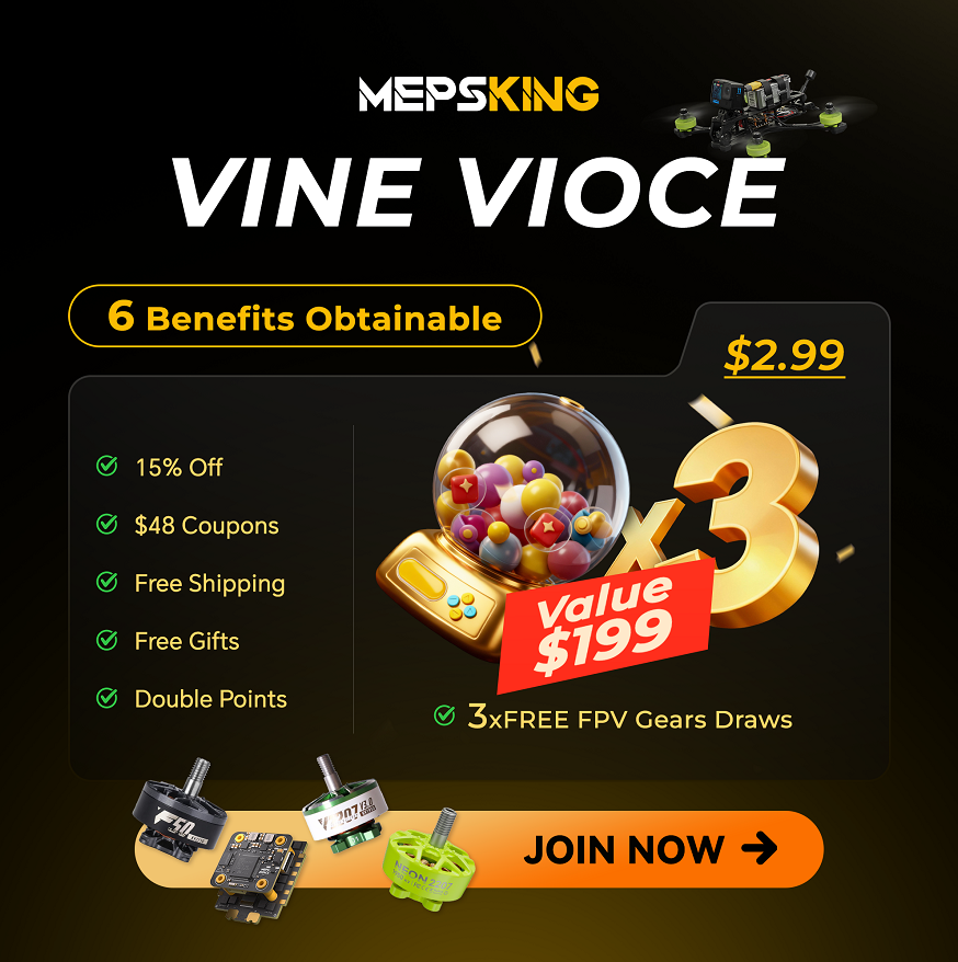 Community Evaluation in FPV: Understanding the MEPSKING Vine Voice Reviewer Program