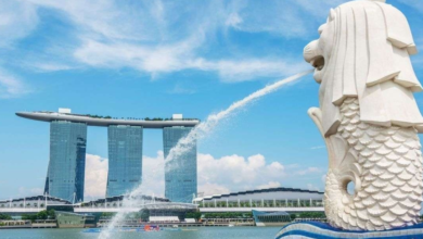 Top 3 Impressive Singapore Travel Attractions For First-Time Visitors