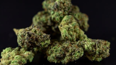 Which Effects Make Cheesecake Bulk Flower Stand Out? 