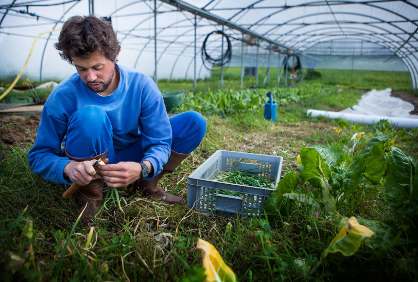 Sustainable Methods for Effective Crop Cultivation