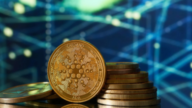 ADA Price Explained — A Complete Beginner’s Guide to Cardano’s Value in 2025