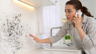 How Experts Eliminate Mold Safely and Effectively