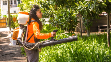 How Seasonal Mosquito Activity Affects Outdoor Living in Orange County