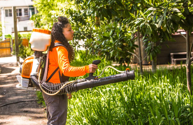 How Seasonal Mosquito Activity Affects Outdoor Living in Orange County