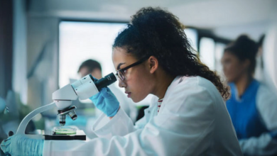 The Rising Role of Generic Drug Makers in Modern Healthcare