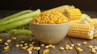 The Origins of Nixtamalized Corn and Its Nutritional Impact