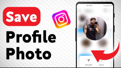 Save From Instagram Profile in One Click – Backup Full Insta Profile in HD
