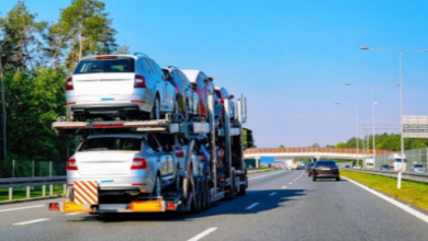 Tips for Working With Professional Car Movers