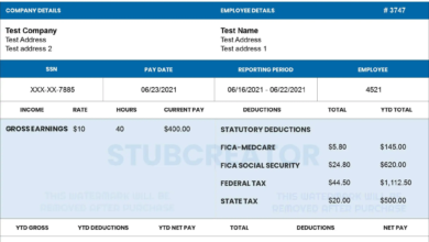 How a Pay Stub Template Can Help With Income Verification