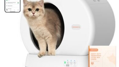 Transform Pet Hygiene with a Robot Litter Box's Automated Cycles