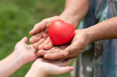 Essential Facts About Donation Tax Relief in Singapore